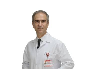 Prof. Dr. Hamit